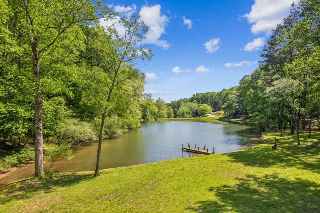 417050 Ellijay Land