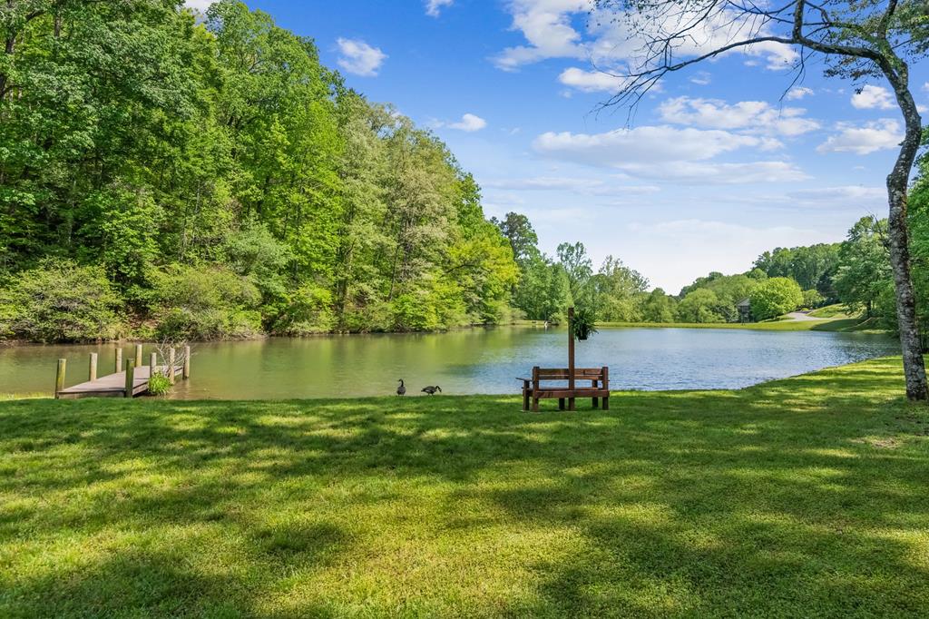 417050 Ellijay Land