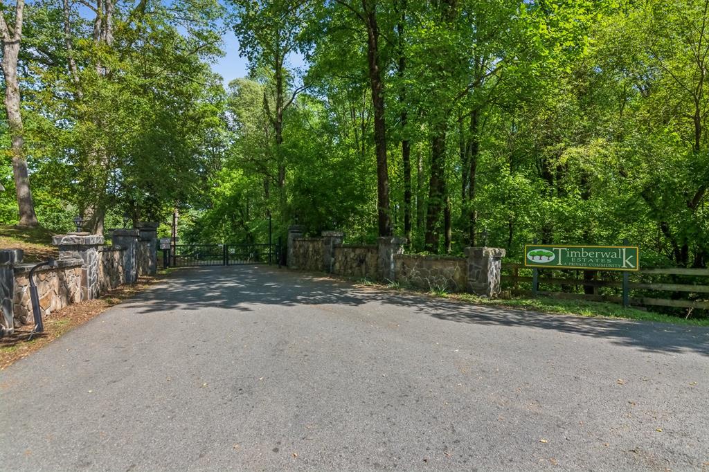 417050 Ellijay Land