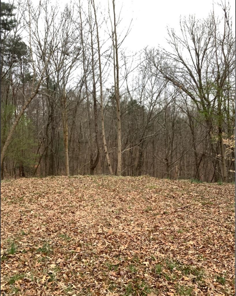 417050 Ellijay Land