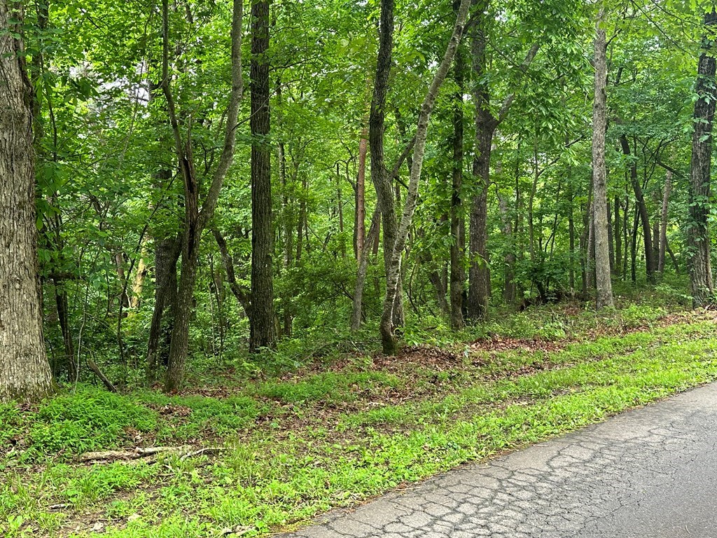 417050 Ellijay Land
