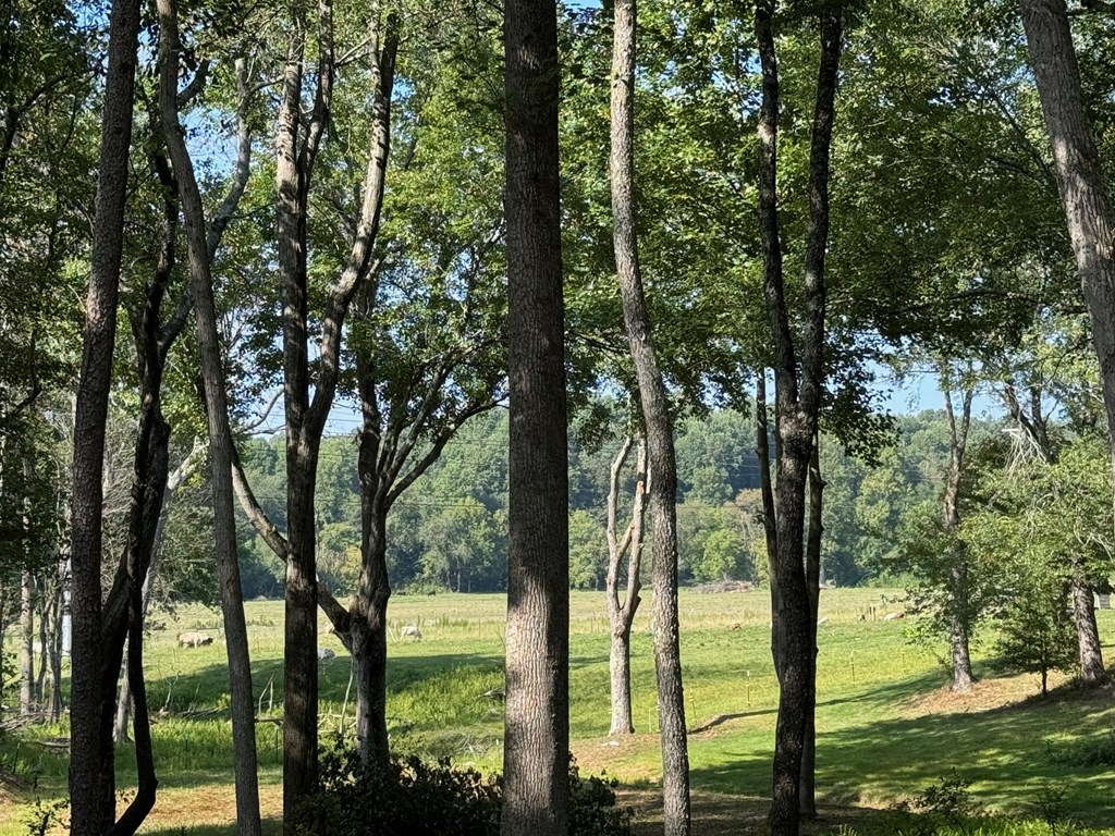 417051 Morganton Residential