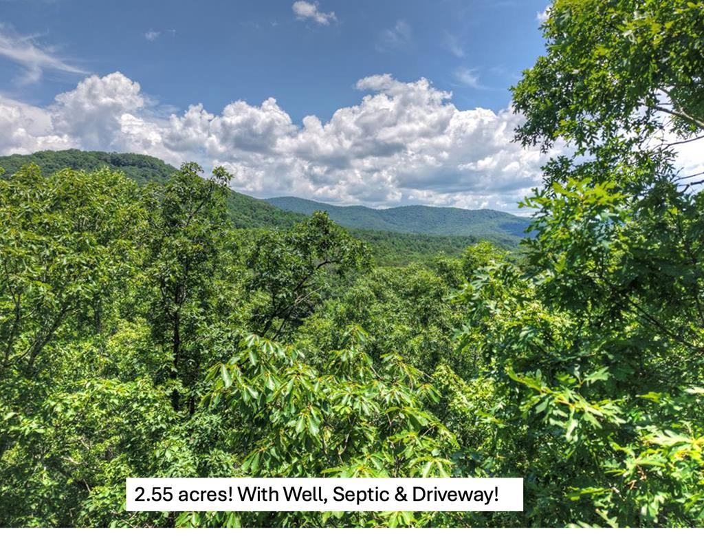 417052 Blue Ridge 