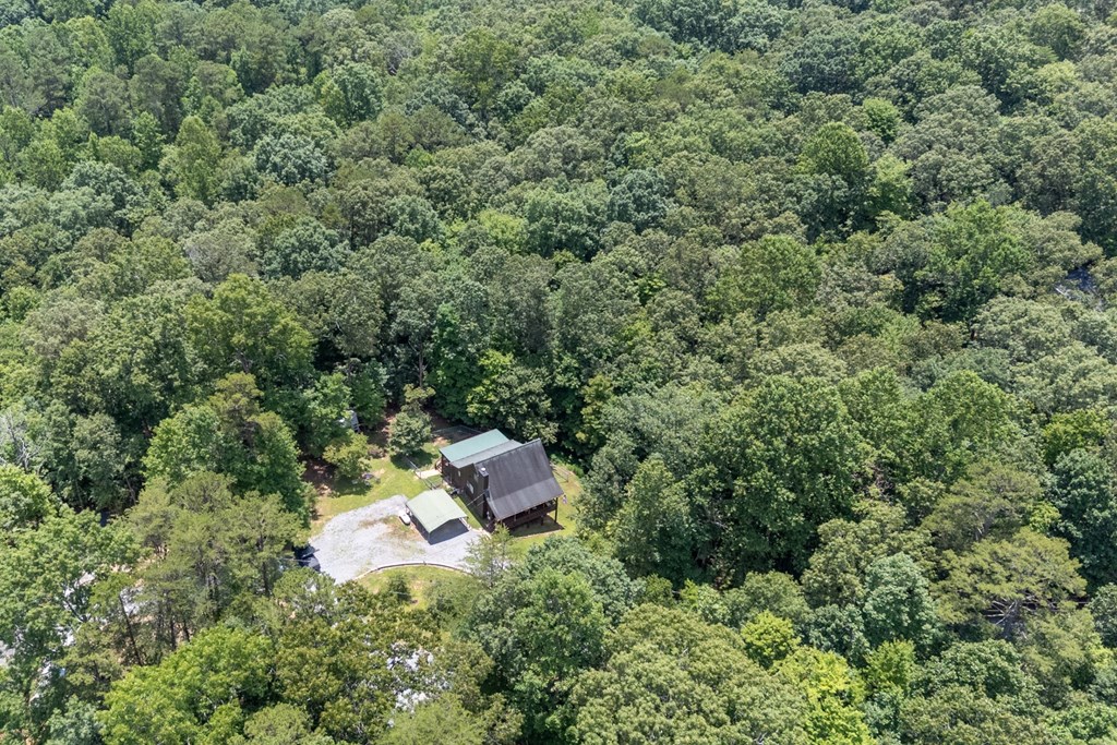 417061 Ellijay Residential