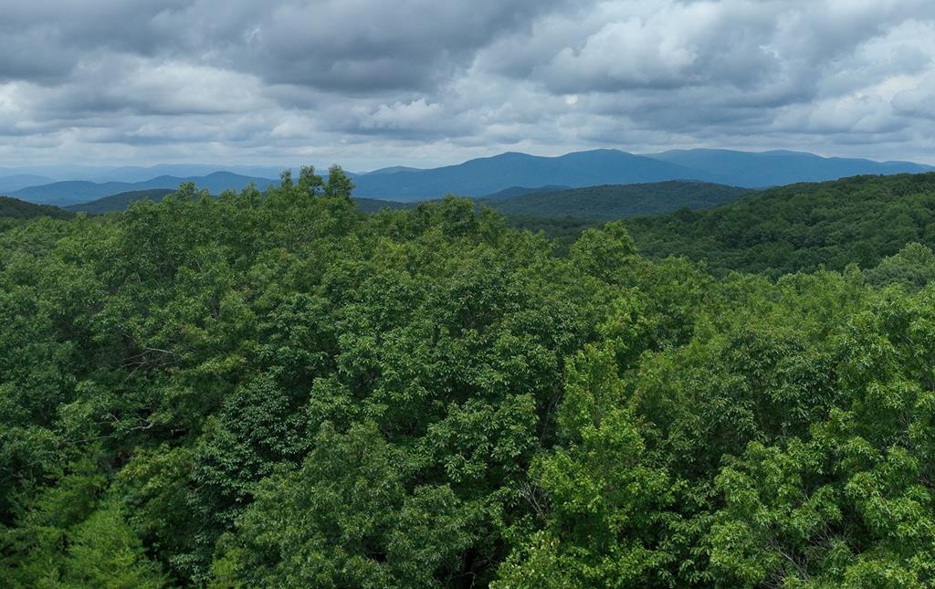 417068 Ellijay 
