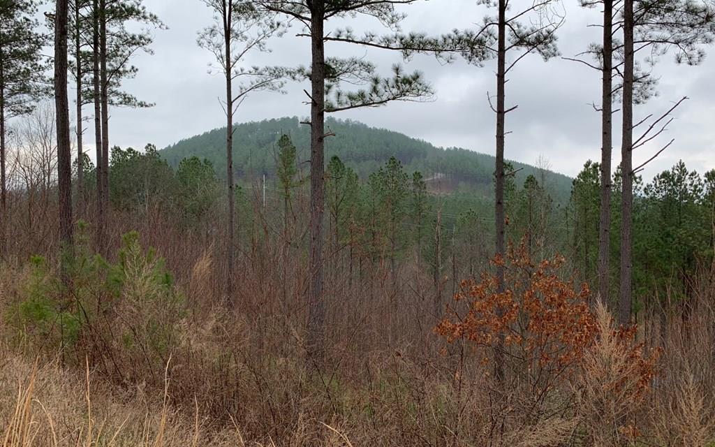 417078 Blairsville 