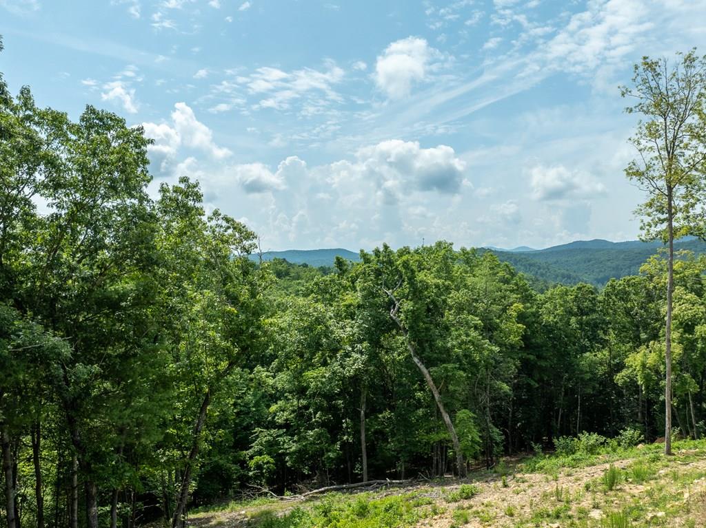 417080 Blue Ridge 