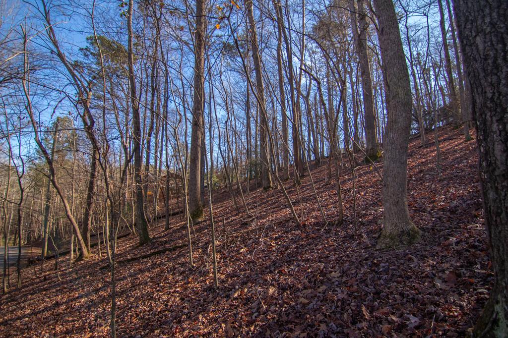 417088 Ellijay Residential
