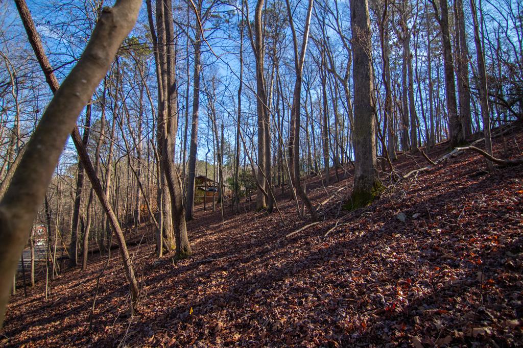 417088 Ellijay Residential