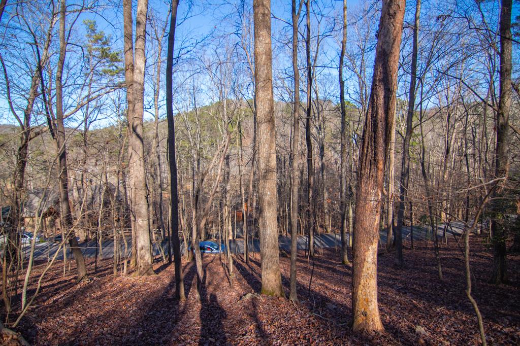 417088 Ellijay Residential