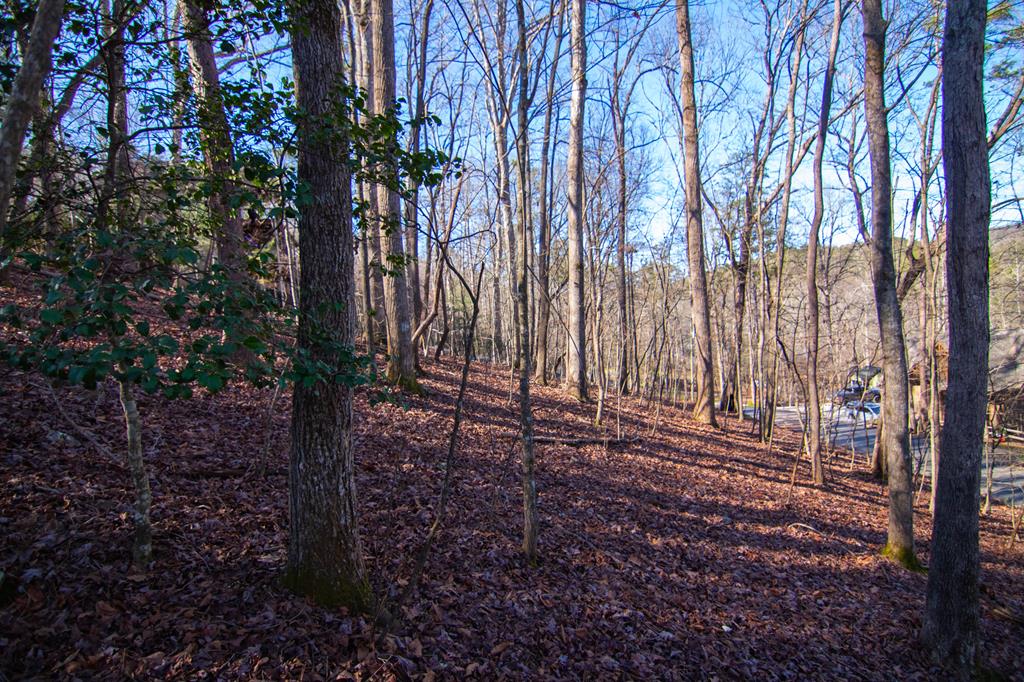 417088 Ellijay Residential