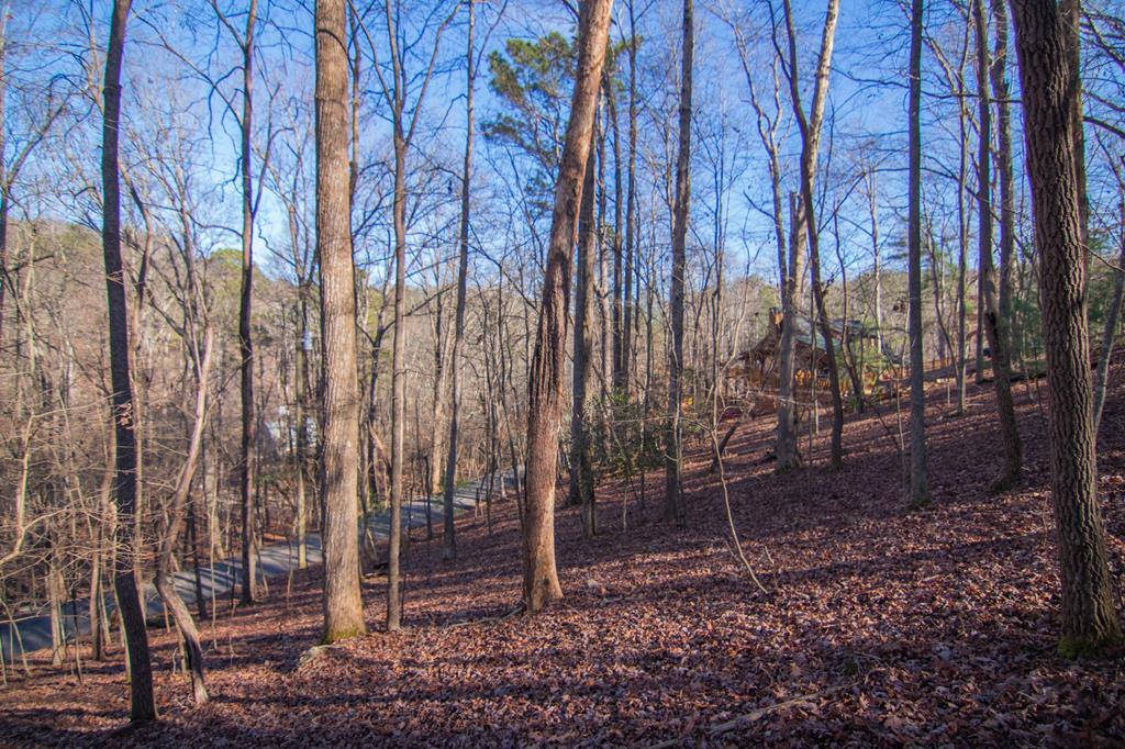 417088 Ellijay Residential