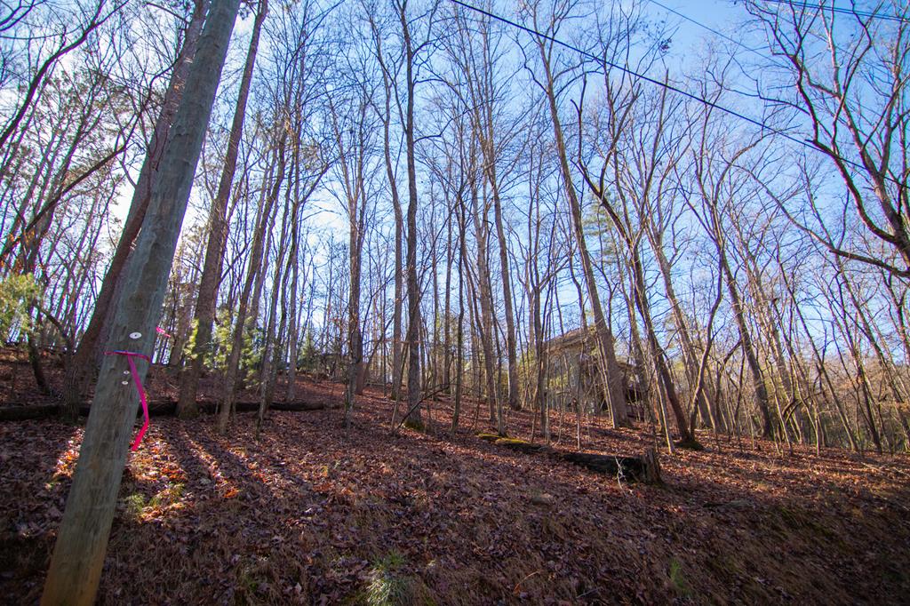 417088 Ellijay Residential