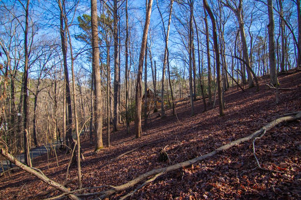 417088 Ellijay Residential