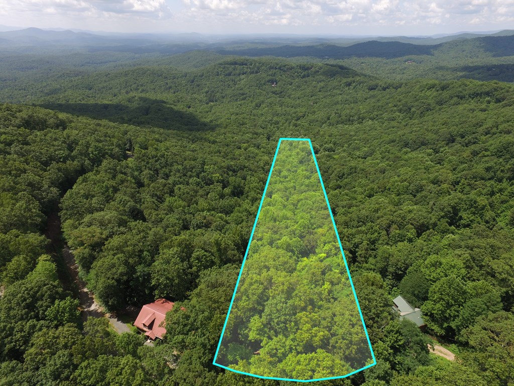 417089 Ellijay Land
