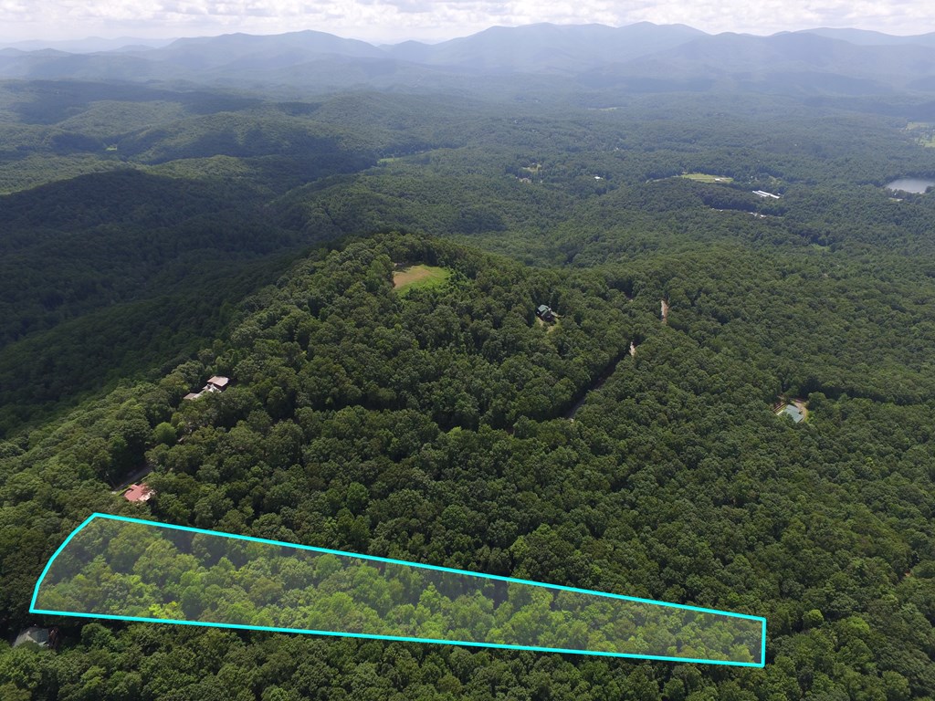 417089 Ellijay Land