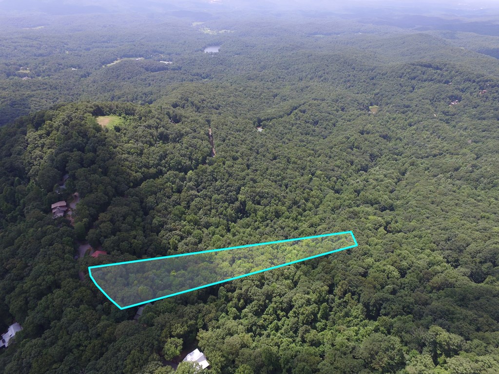 417089 Ellijay Land