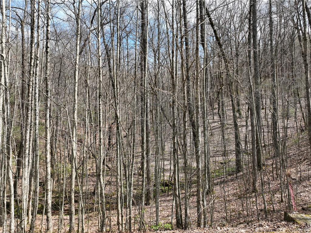 417099 Ellijay 