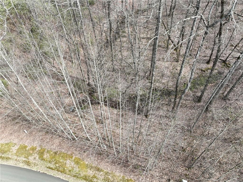 417099 Ellijay Land