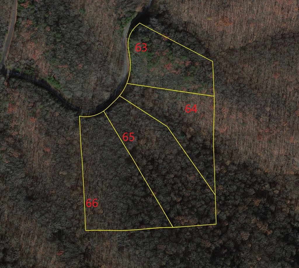 417099 Ellijay Land