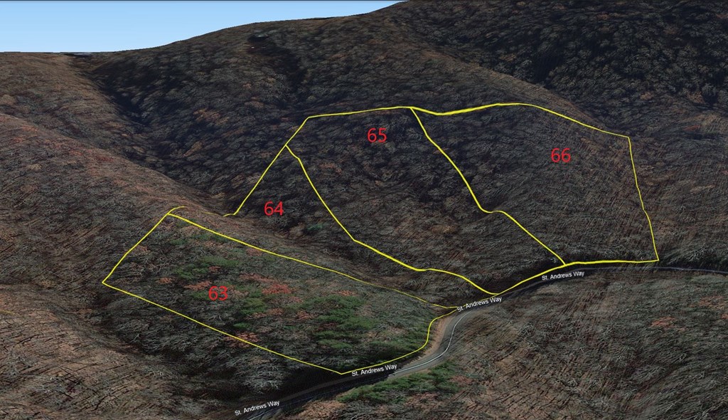 417099 Ellijay Land