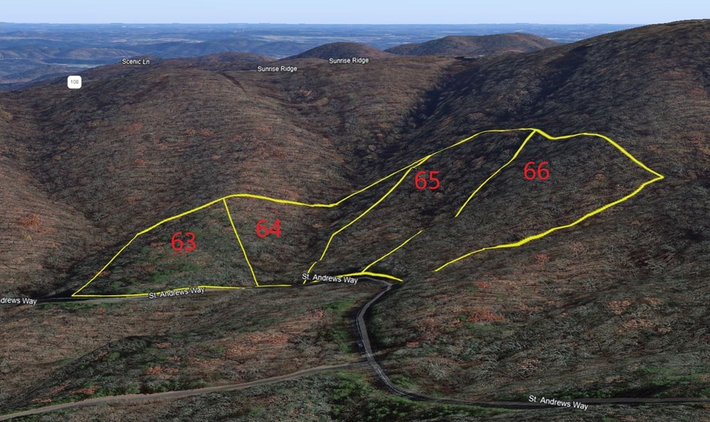417099 Ellijay Land