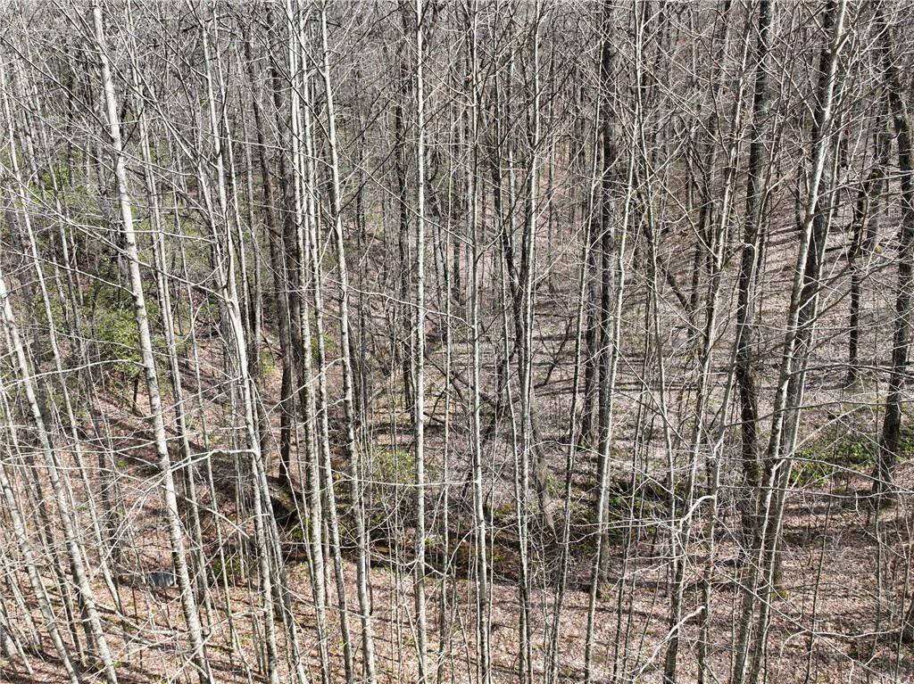 417099 Ellijay Land