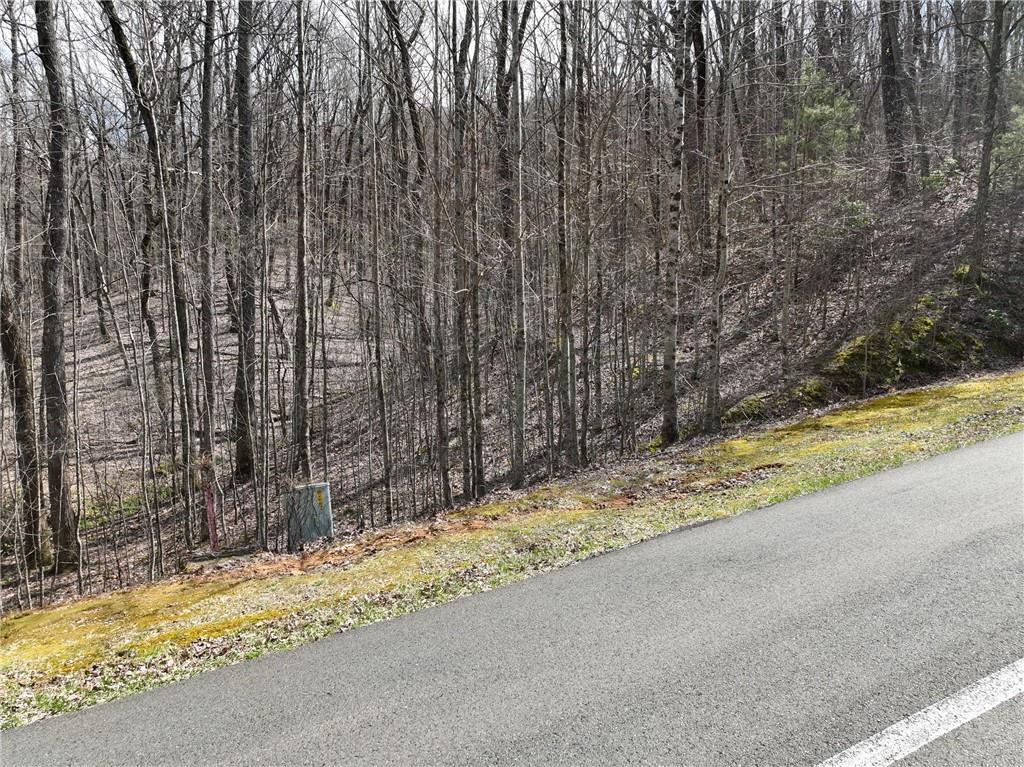 417103 Ellijay 