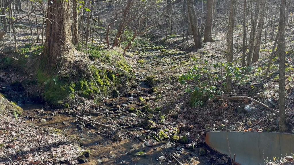 417103 Ellijay Land