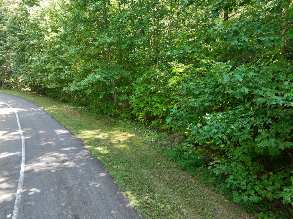 417103 Ellijay Land