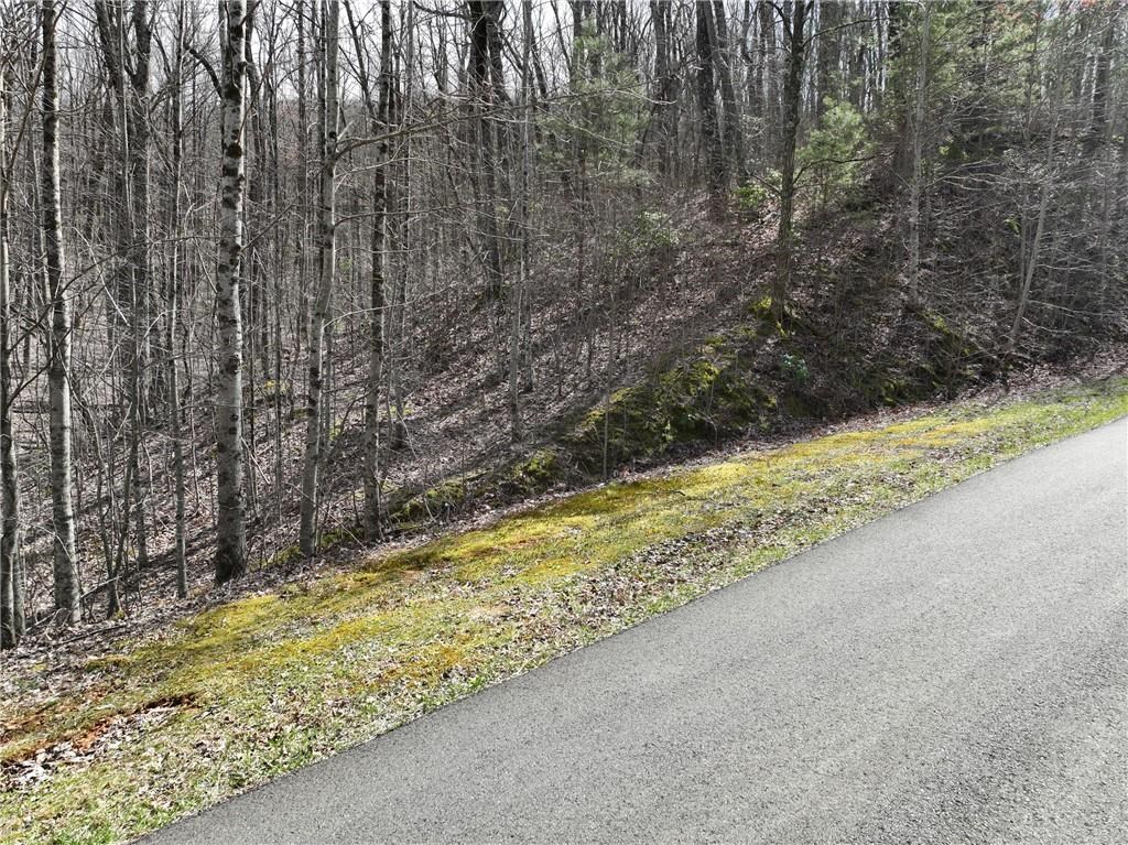 417103 Ellijay Land