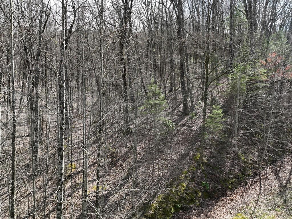 417103 Ellijay Land