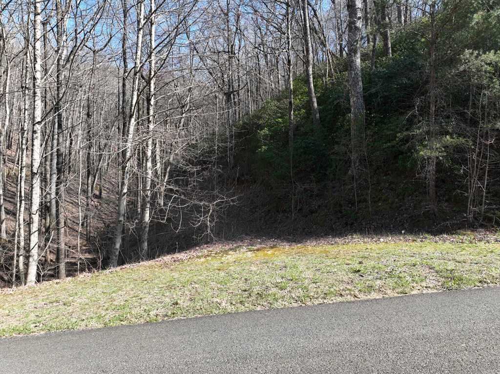 417103 Ellijay Land
