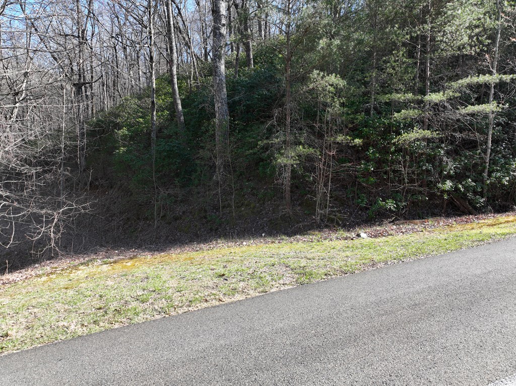 417103 Ellijay Land