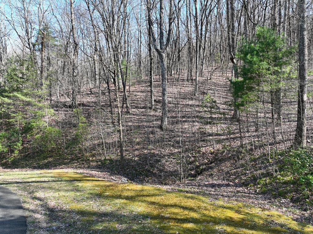 417105 Ellijay 