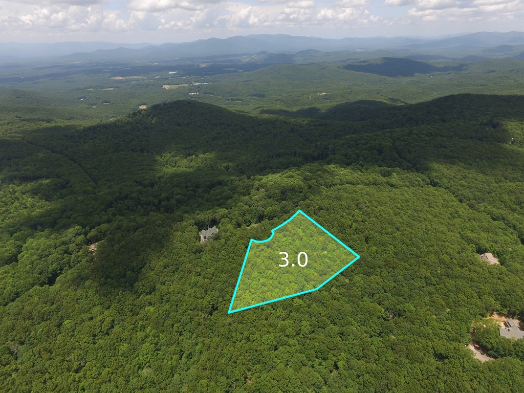 417112 Ellijay Land