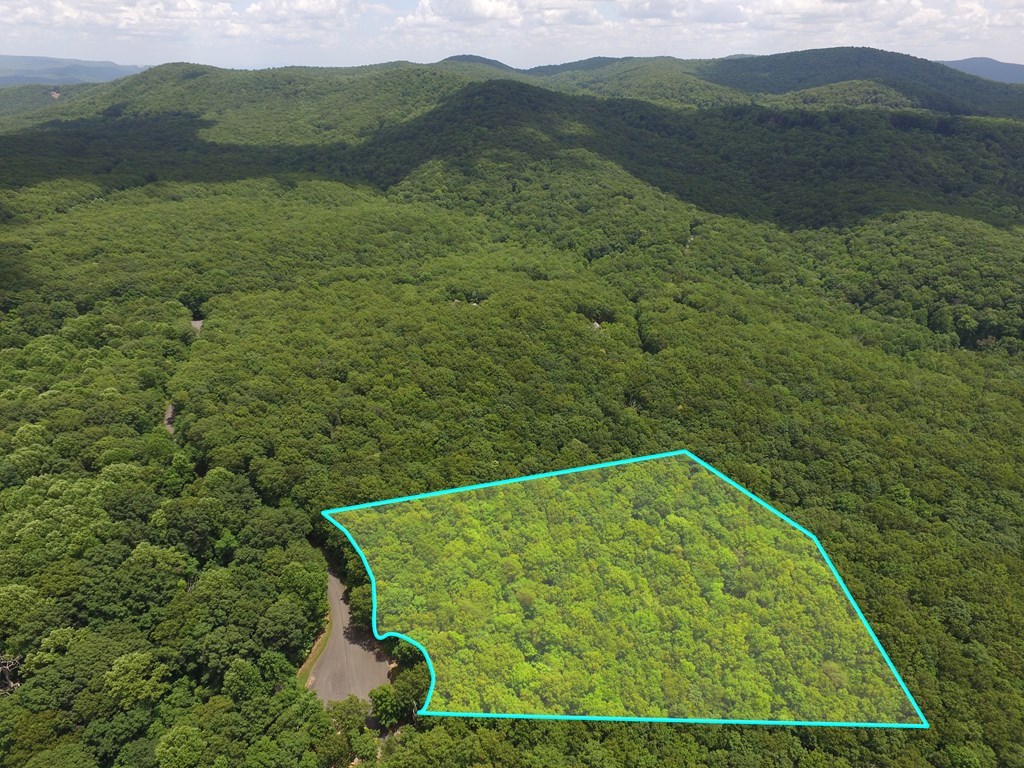 417112 Ellijay Land