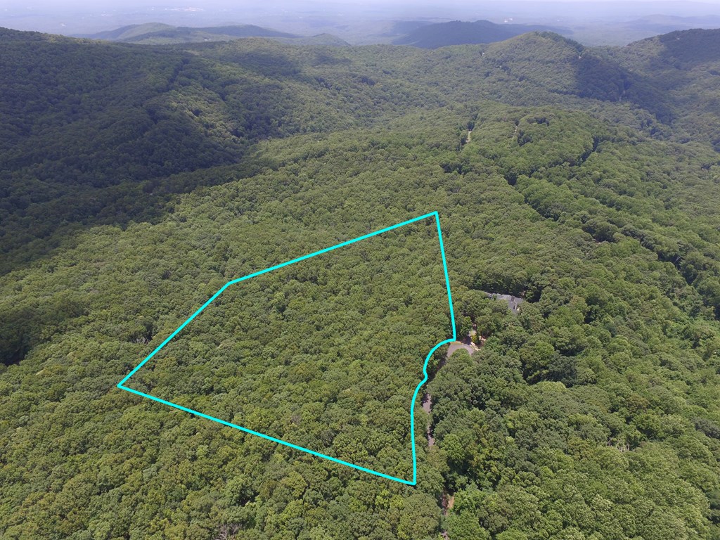 417112 Ellijay Land