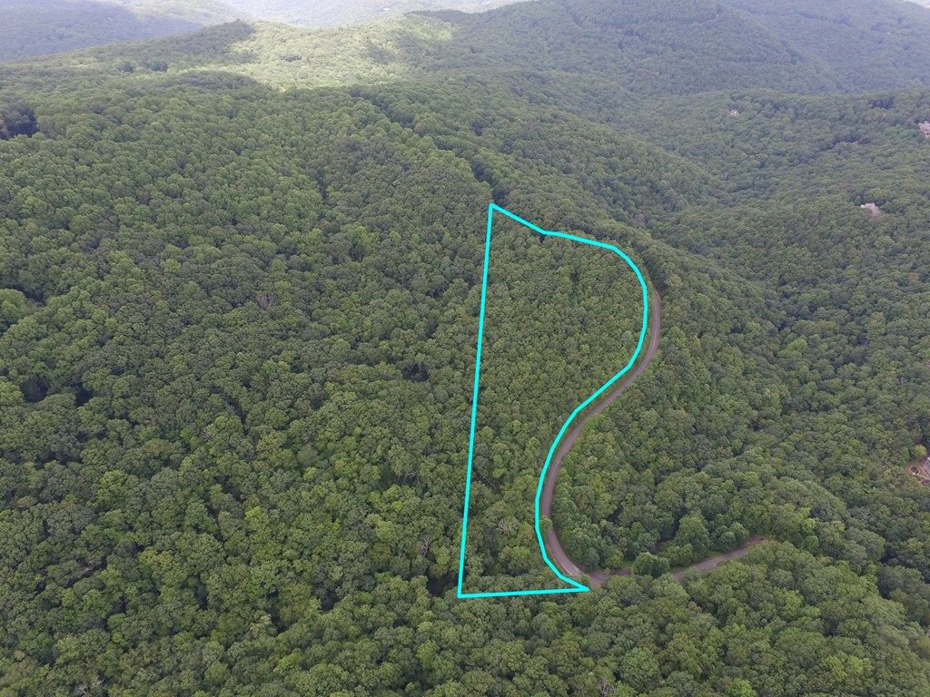 417114 Ellijay Land