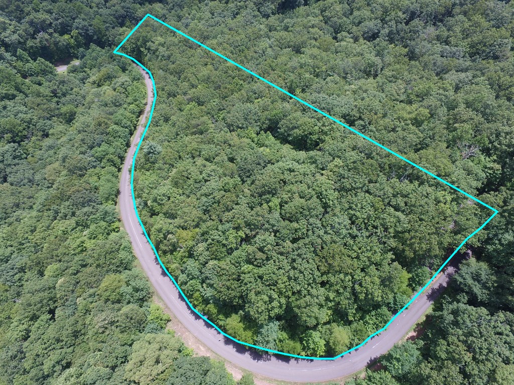 417114 Ellijay Land