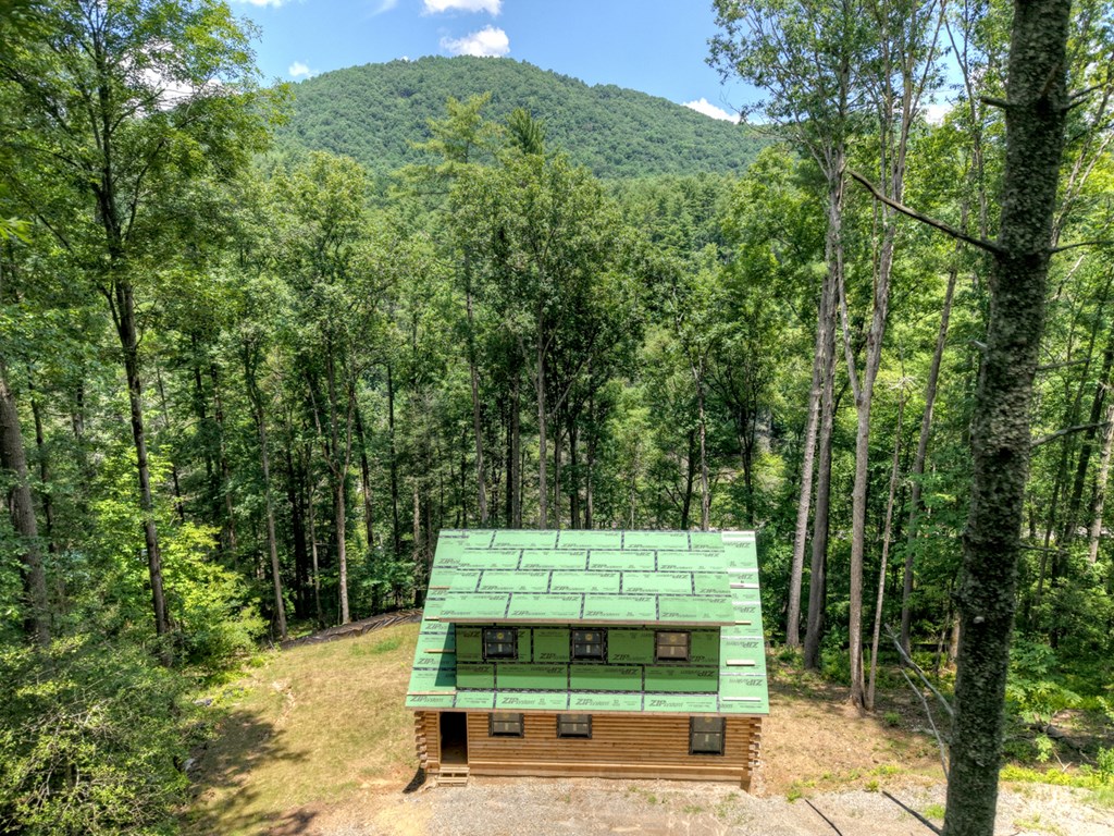 417115 Suches Residential