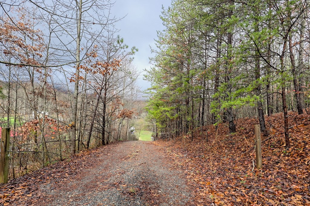 417128 Hiawassee Residential