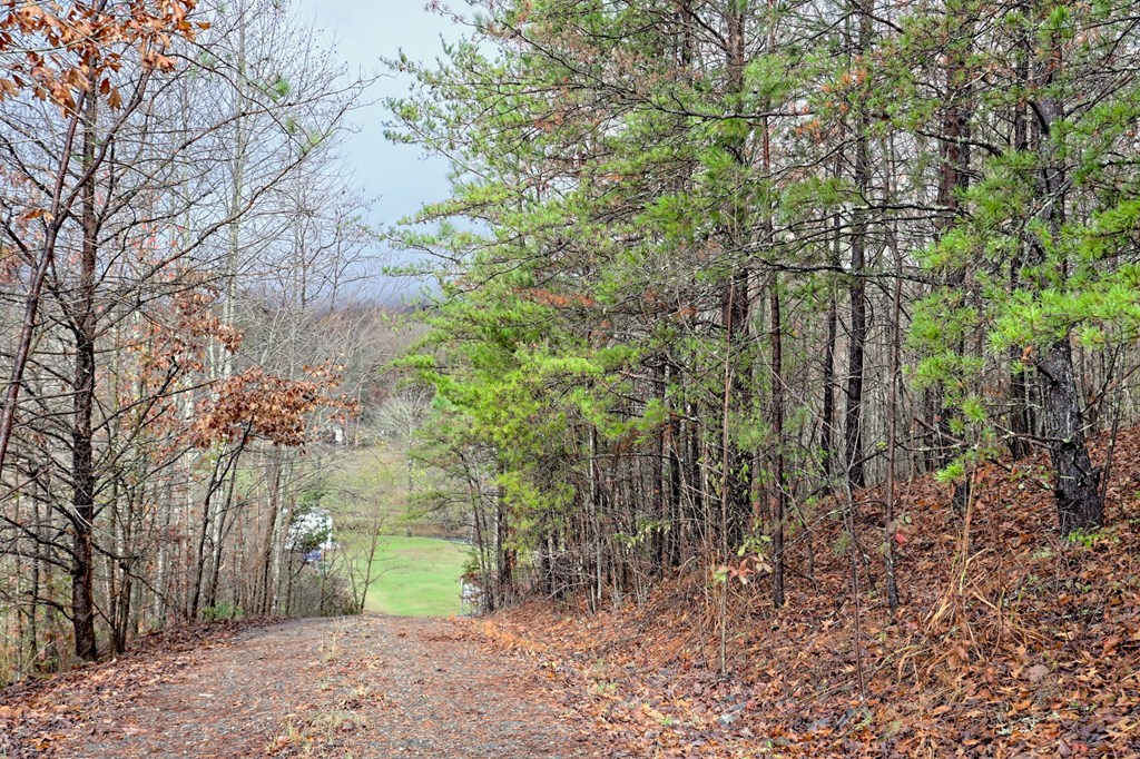 417128 Hiawassee Residential