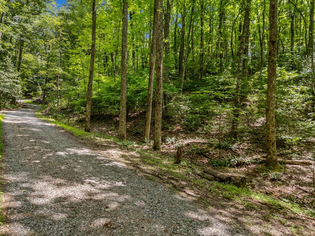 417131 Ellijay 