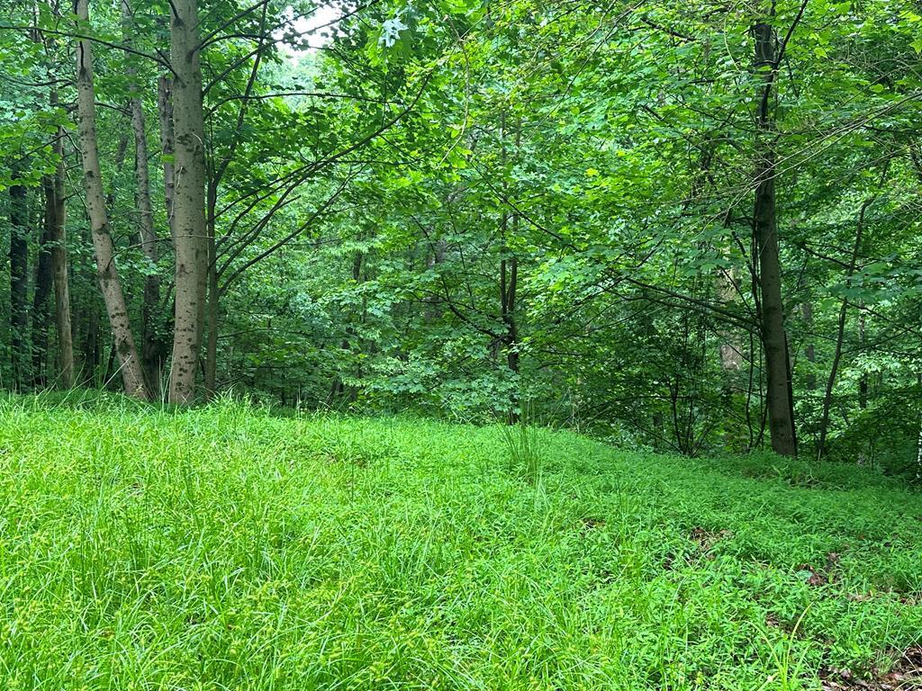 417132 Ellijay 