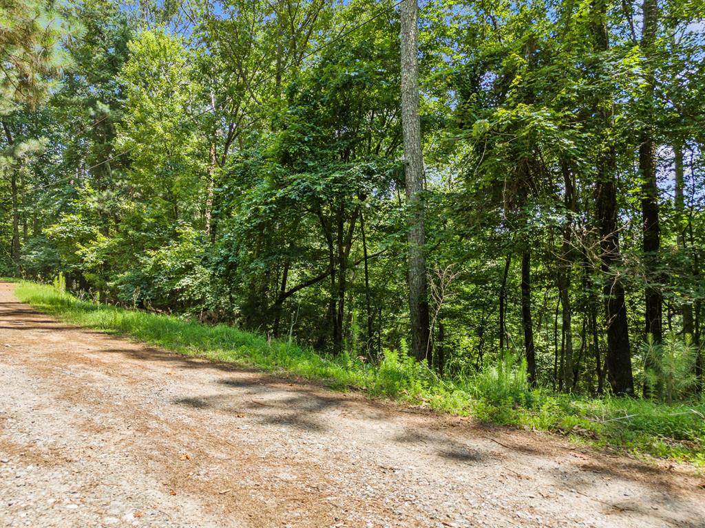 417134 Ellijay 