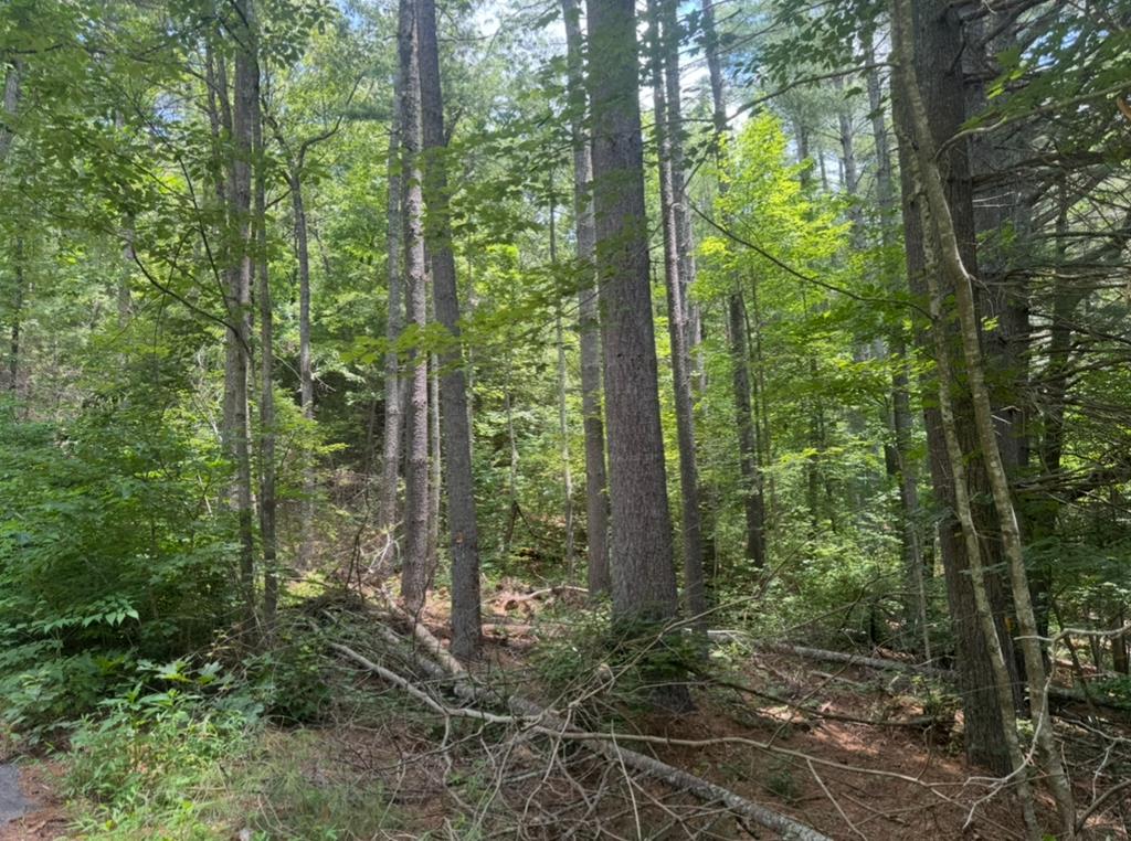 417151 Hiawassee 
