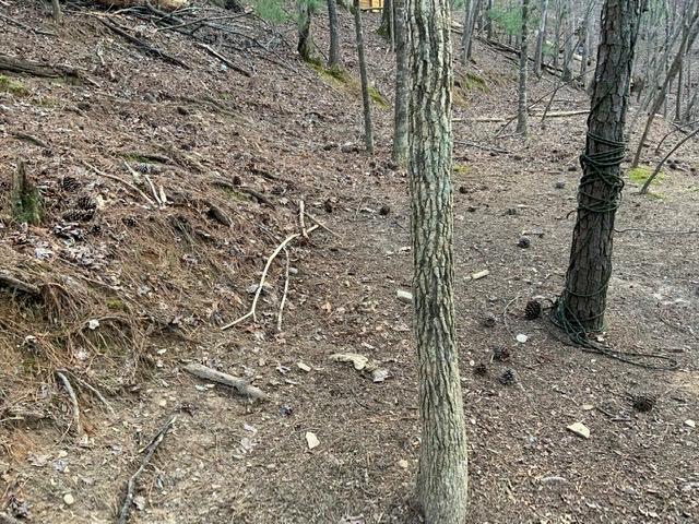417154 Ellijay Residential