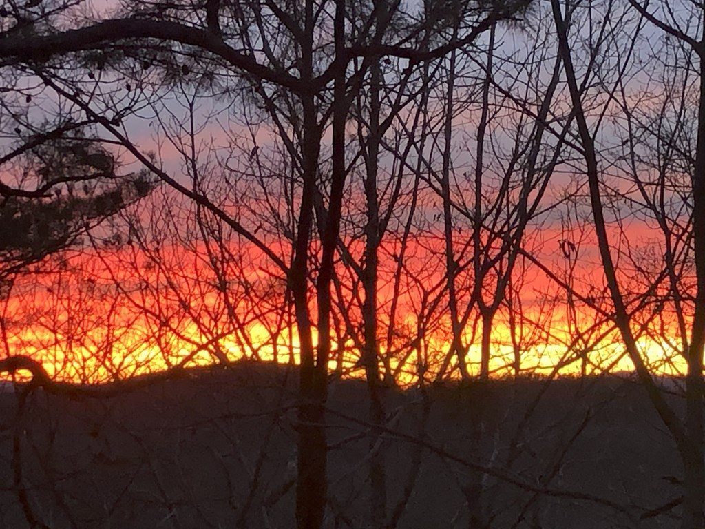 417155 Ellijay Residential