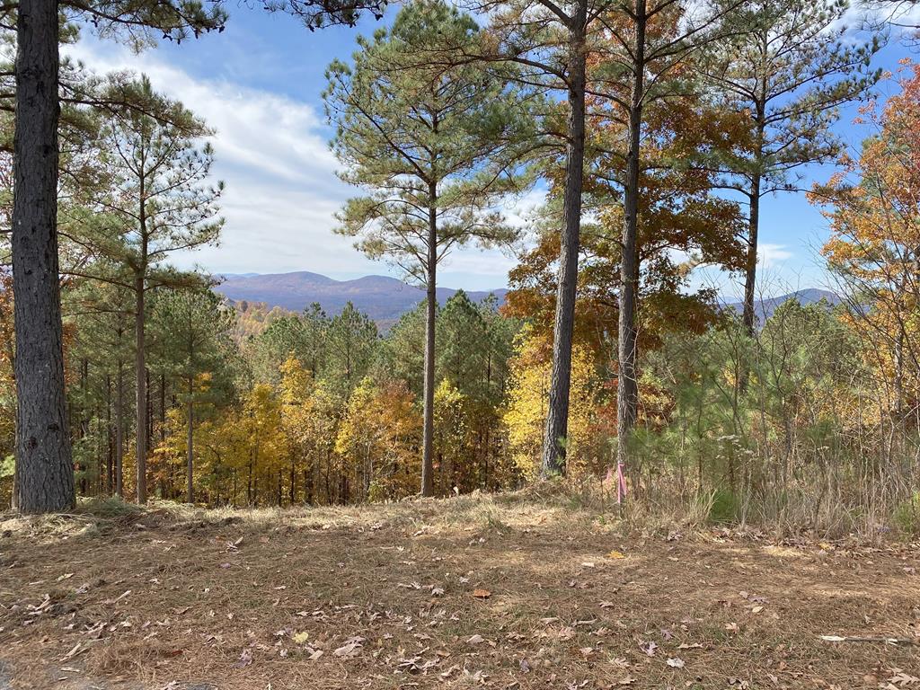 417162 Blairsville 